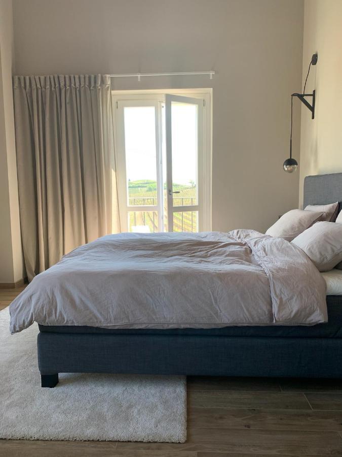 Villa Bricco 46 Nizza Monferrato Kültér fotó
