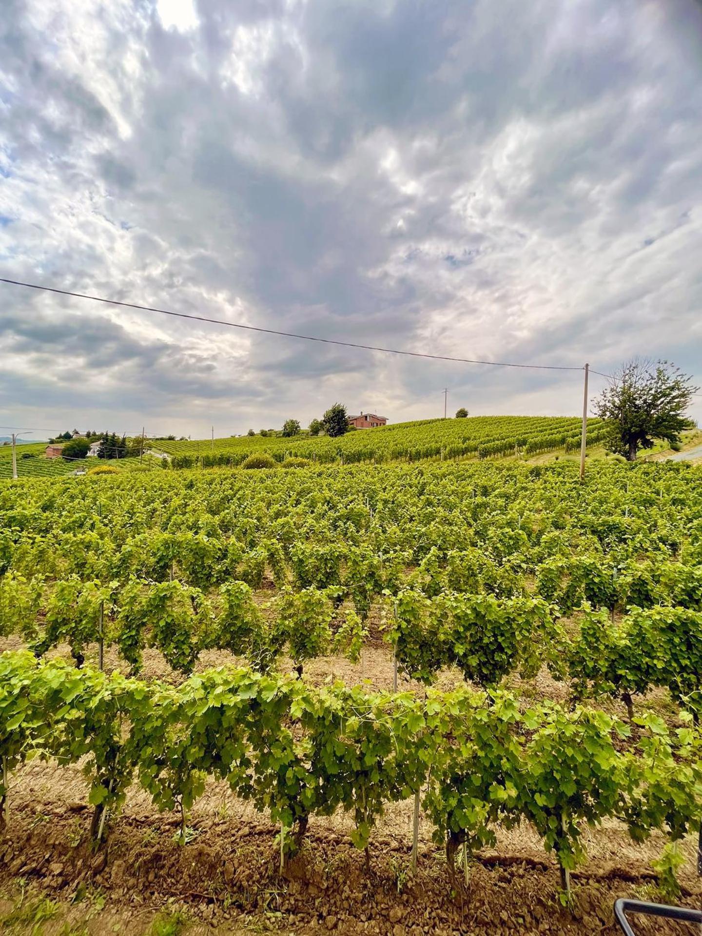 Villa Bricco 46 Nizza Monferrato Kültér fotó